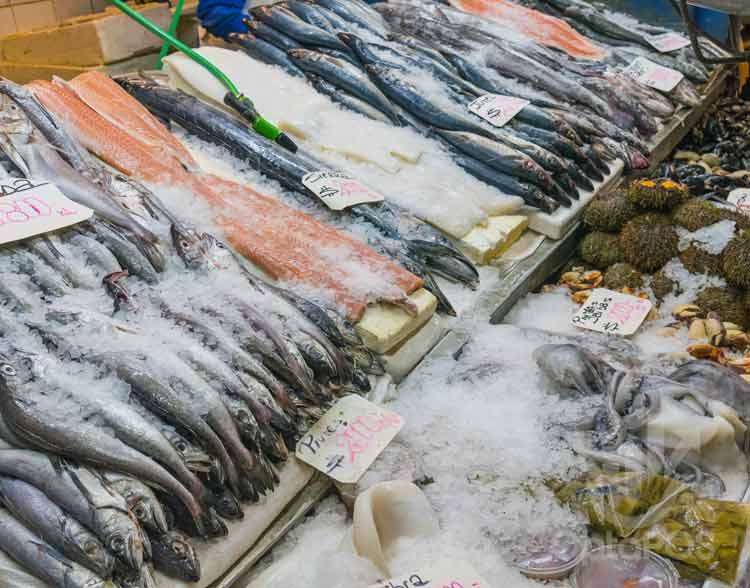 Fish Shop